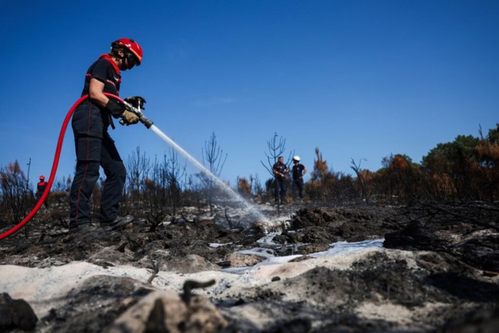 France: 375 people arrested in connection to wildfires
