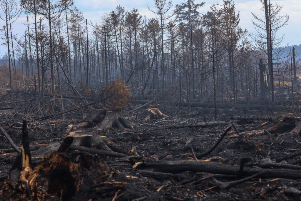 Wildfire alert lowered to yellow across Flanders