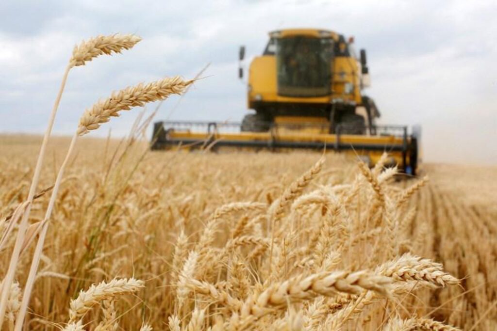 Food prices at their highest level in three years, UN says