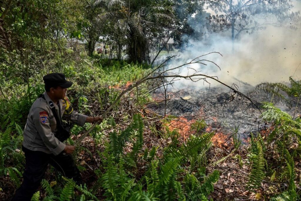 Indonesia deploys 1,500 additional troops to fight wildfires raging in Borneo