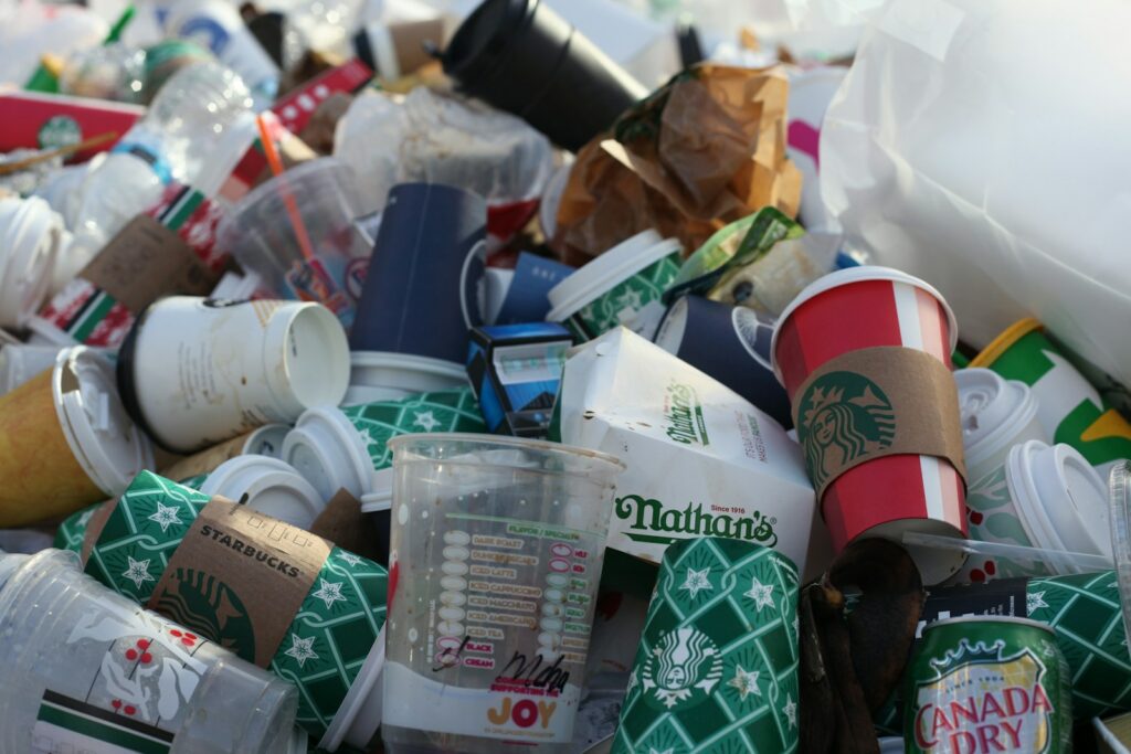EU bans 'forever chemicals' in food packaging amid push for stricter waste rules