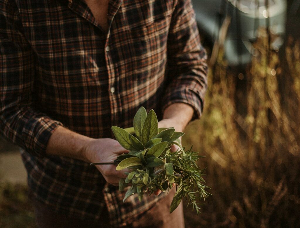 EU clears UK-Spanish control of fresh herbs venture under simplified review