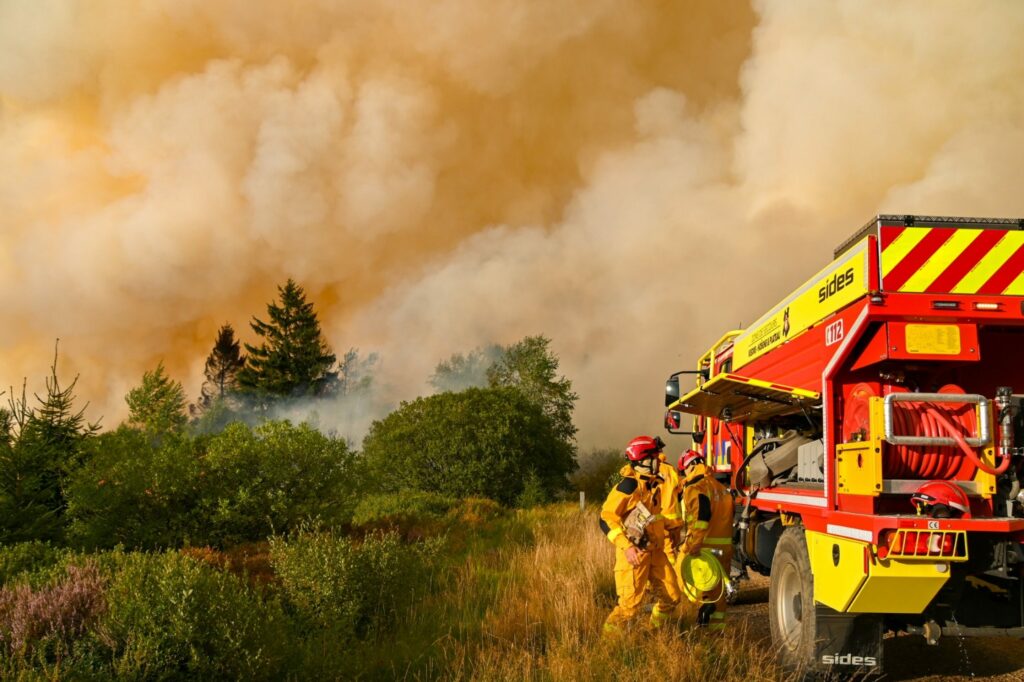 Access to Hertogenwald state forest prohibited to reduce fire risk