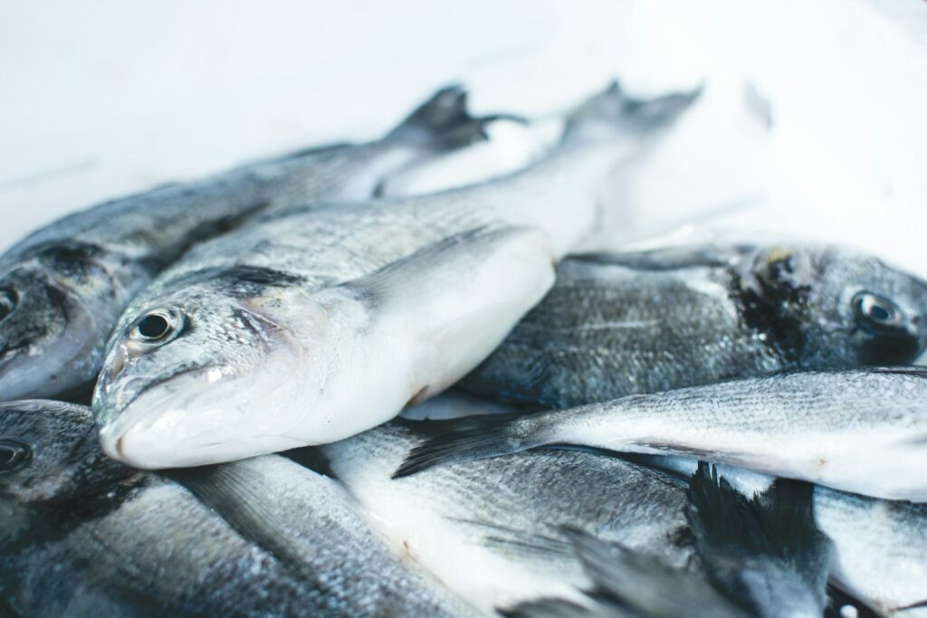 Baltic cod faces 88% by-catch cut under stricter EU fishing rules