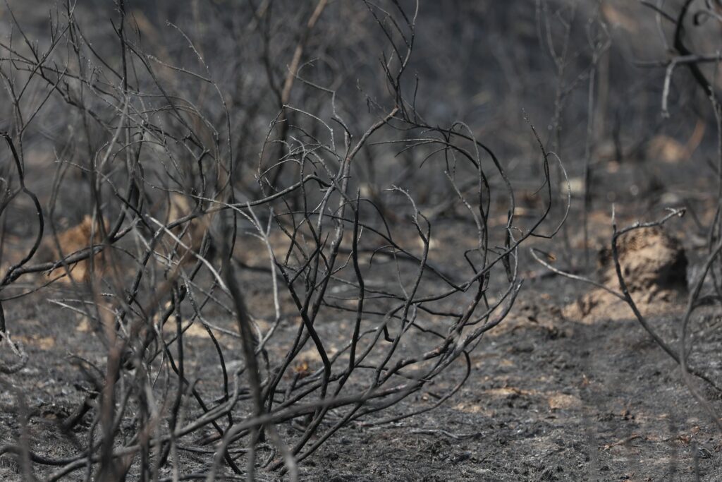 Wildfire in Dutch Limburg still not extinguished with 100 hectares burned
