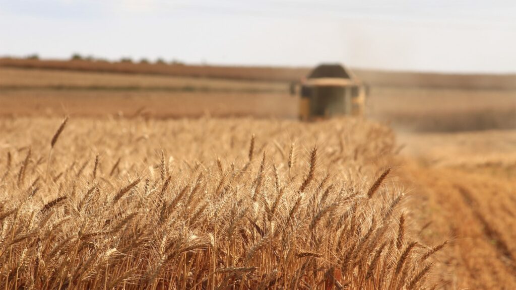 EU agri-food trade surplus hits €23.9b despite export struggles in 2026