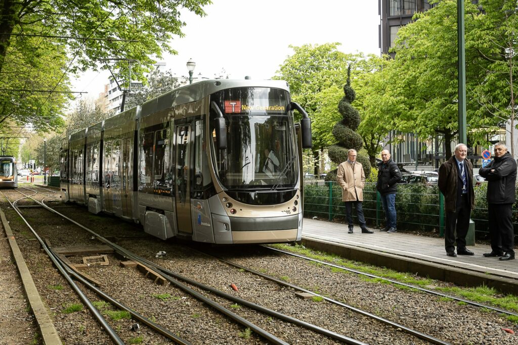 Service on Brussels tram lines restored after disruptions due to fallen tree