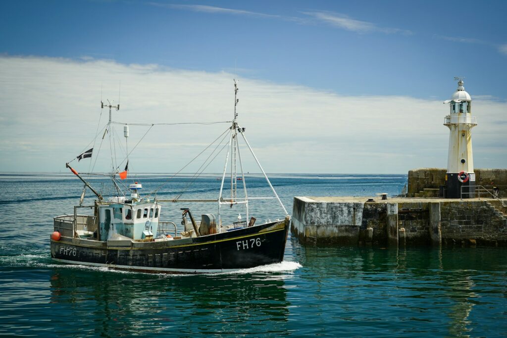 EU unifies fish weighing rules to tackle disparities and compliance gaps