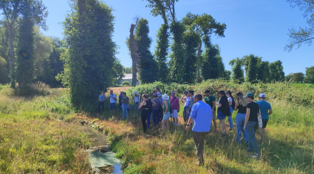 Restored wetlands shield communities amid extreme weather across Europe