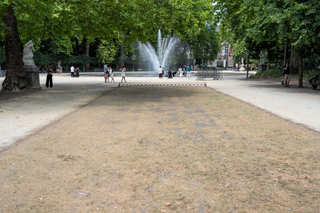 Yellow drought alert maintained in Brussels