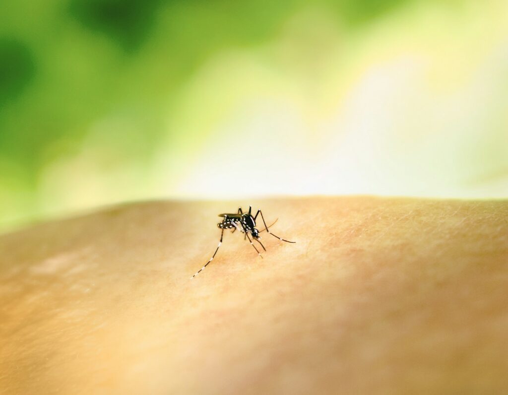 Should Belgium worry about the spread of the West Nile Virus?