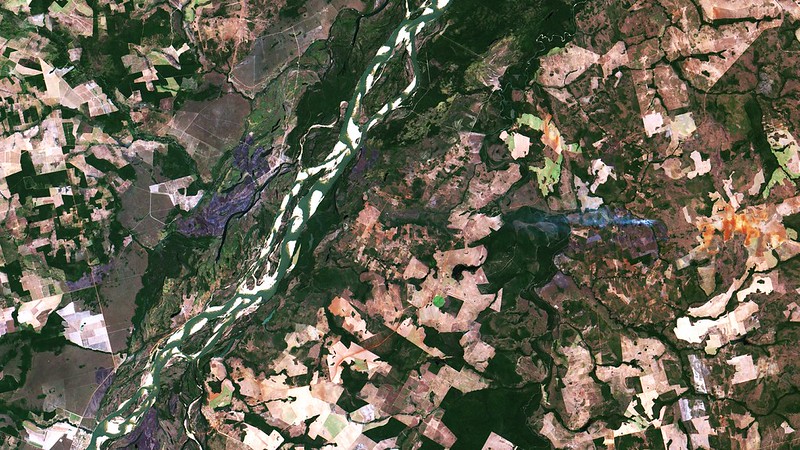 I came to Europe to talk about the forests you don’t want to see