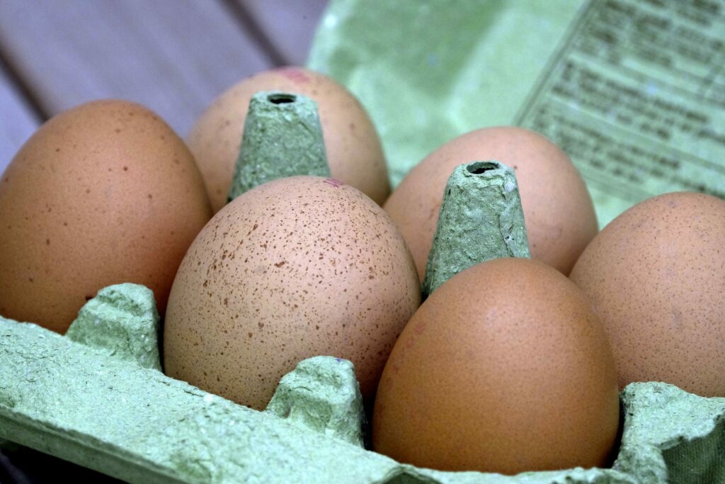 What to know about Salmonella following the record outbreak in Belgium?