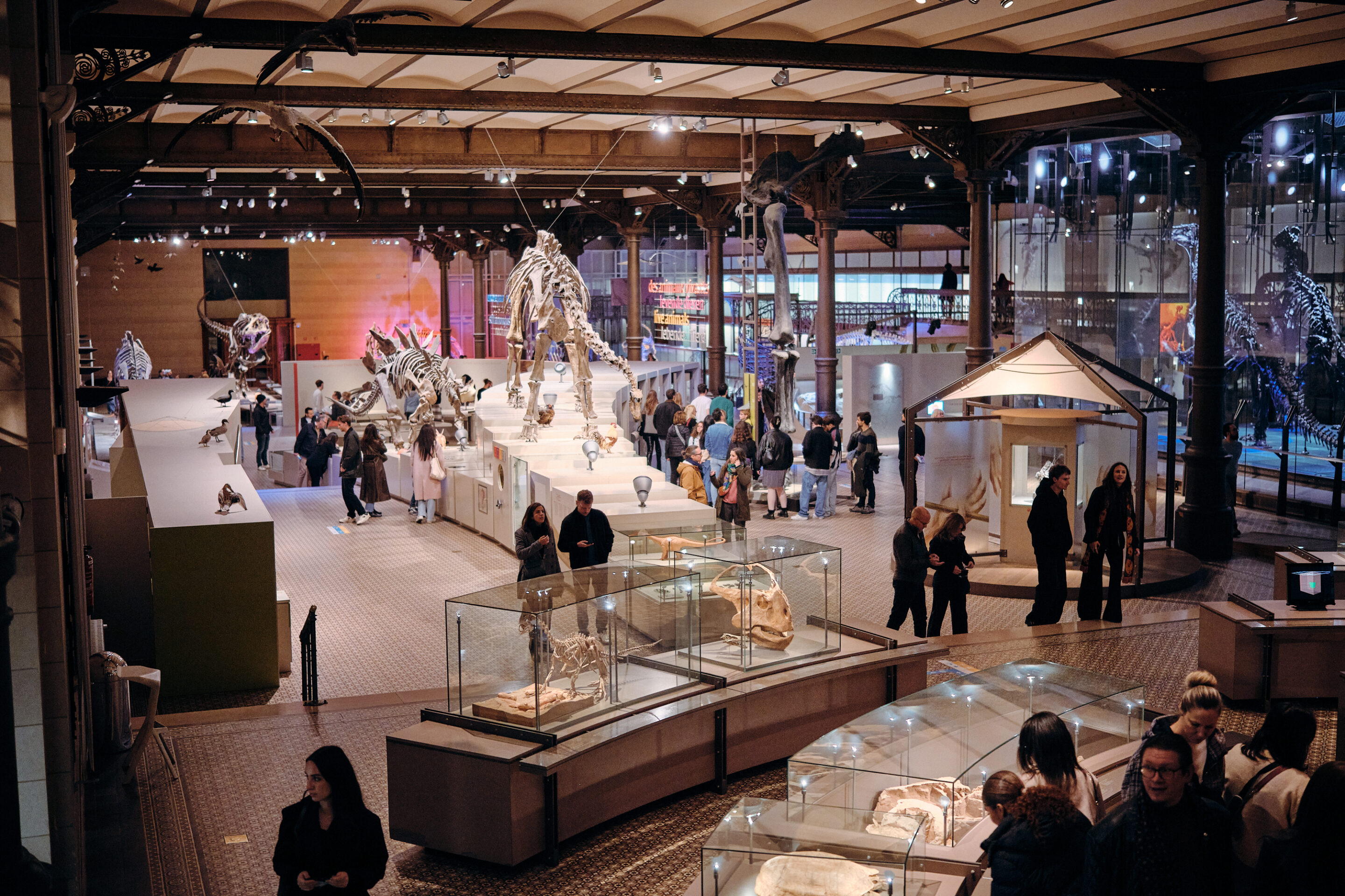 Museum Night Fever returns for a night of unconventional culture