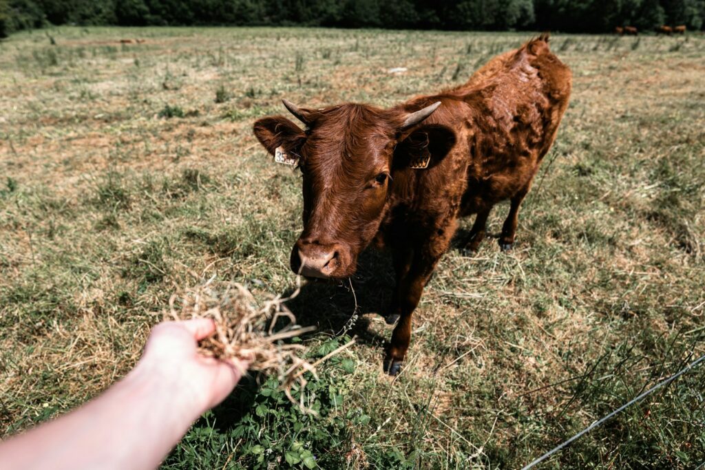 Public backs EU farm subsidies but expects climate action and fairer prices