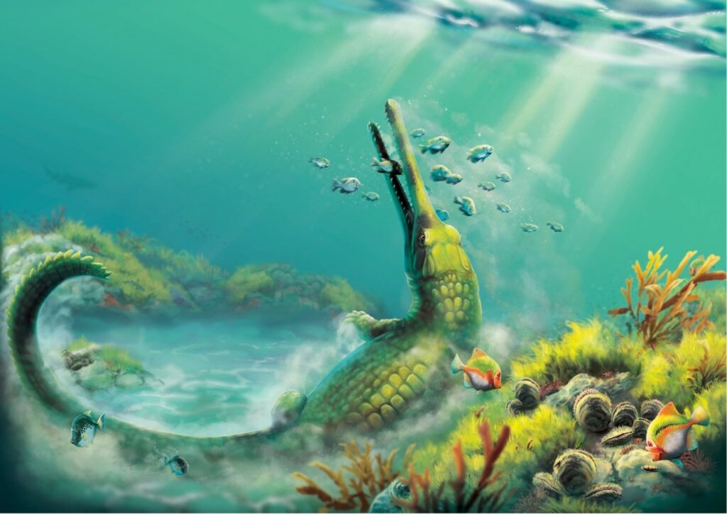 Ancient crocodiles crossed the Atlantic 80 million years ago, KU Leuven finds
