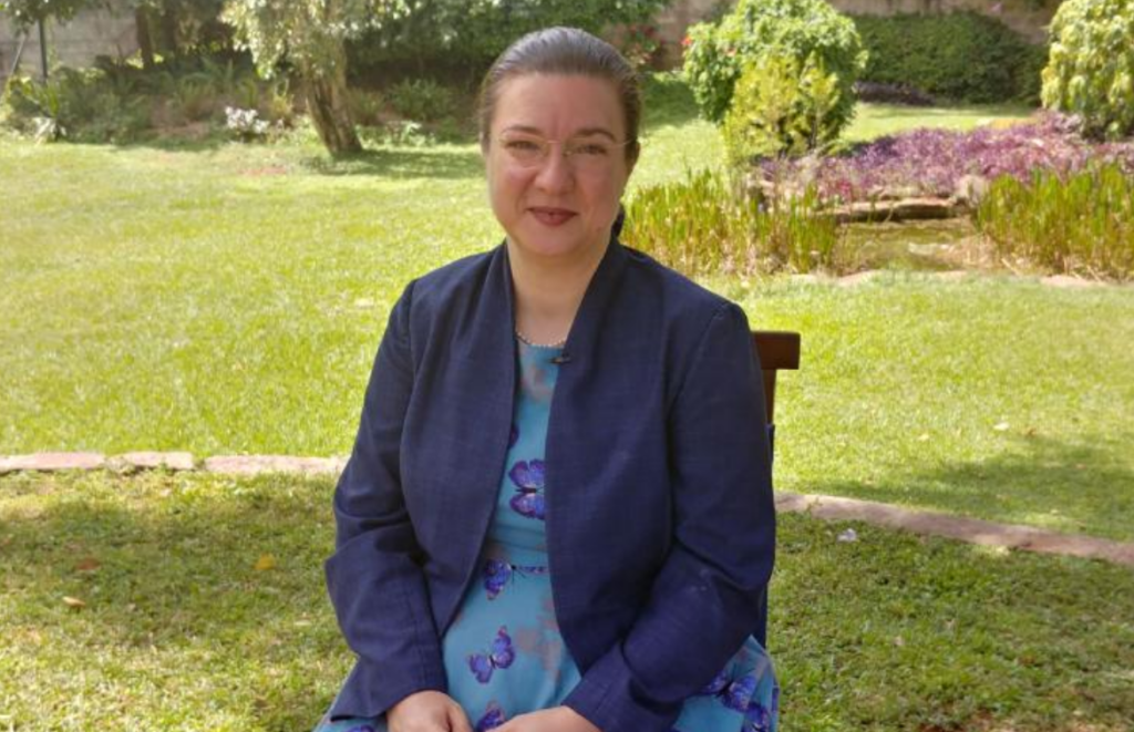 EU ambassador to Zimbabwe dies suddenly