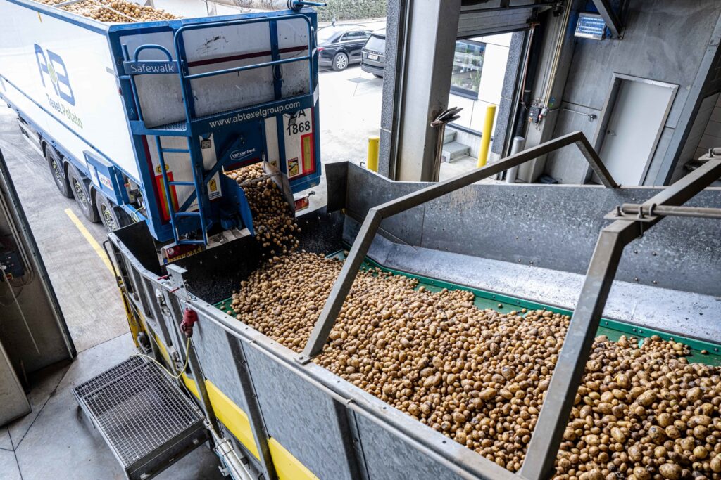 Flanders sees worst potato harvest in eight years due to drought and less planting
