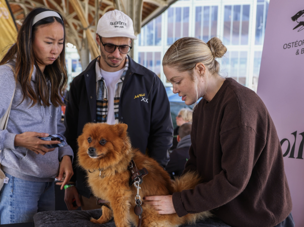 Pools, dog dancing and a 400 m² scent adventure: Woofstock returns to Brussels