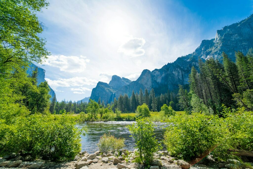 EU nations unveil nature restoration plans under binding regulation