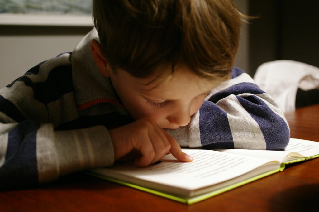 EU links skill-building education awards to urgent deficit in basic literacy