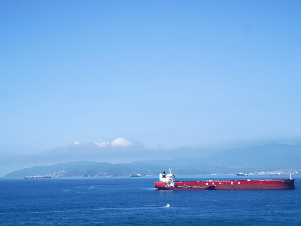 Disrupted Red Sea trade fuels EU calls for stronger multilateral peace efforts