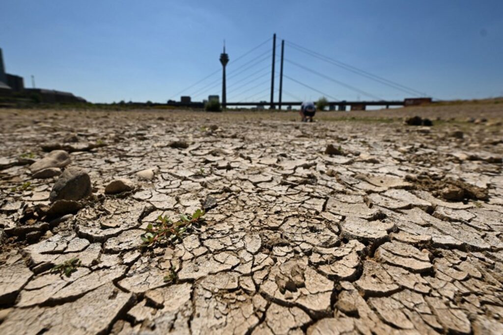 Europe lost up to €113 billion this year due to extreme heat
