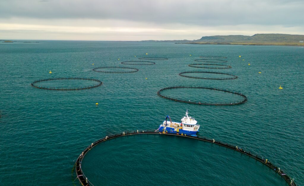 Germany exports tech solutions for modern fish farming but lags in production
