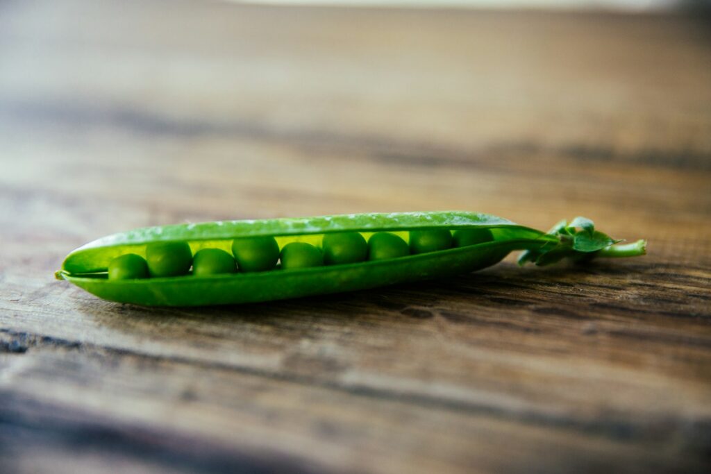 EU targets Chinese pea protein with steep duties amid unfair price claims