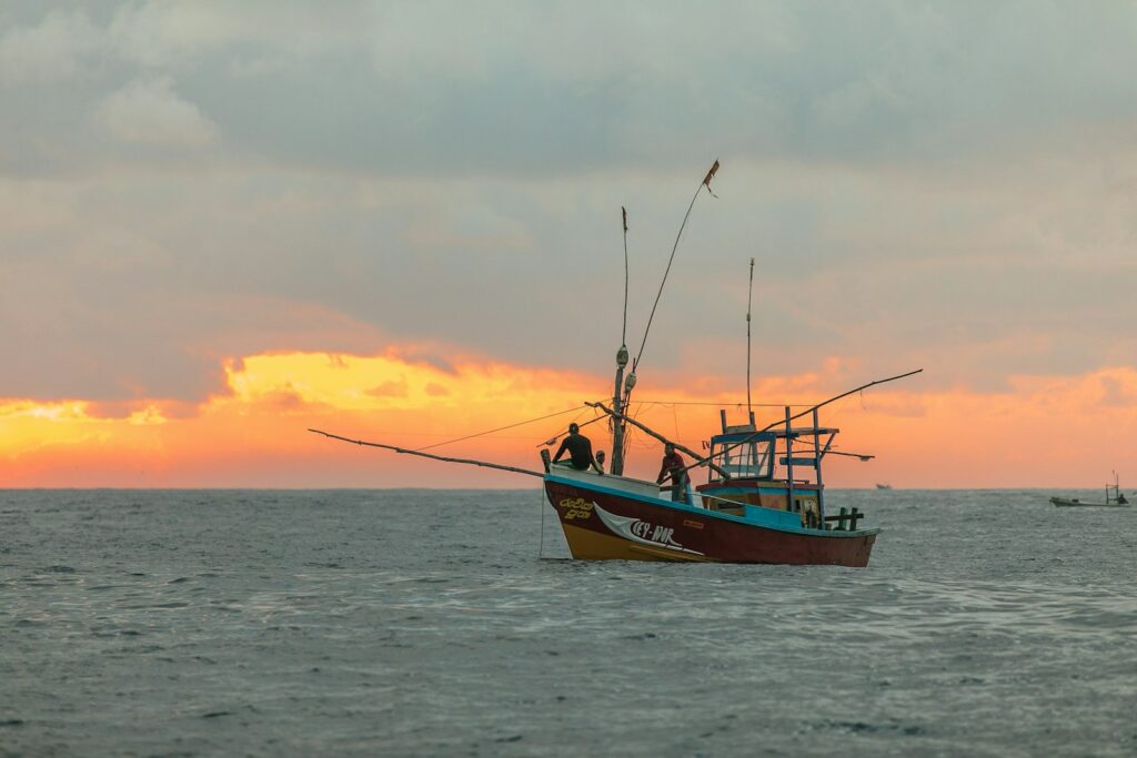 Black Sea quotas spark debate as EU sets future fishing rules