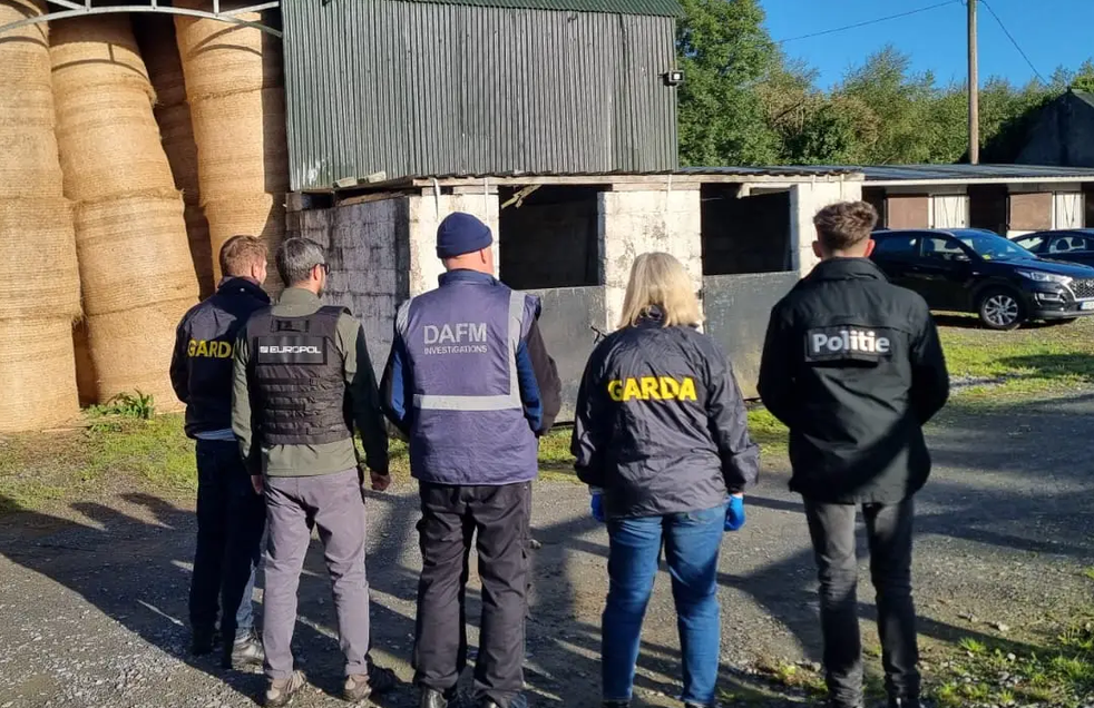 Horses with altered IDs may have entered food chain, Europol reveals