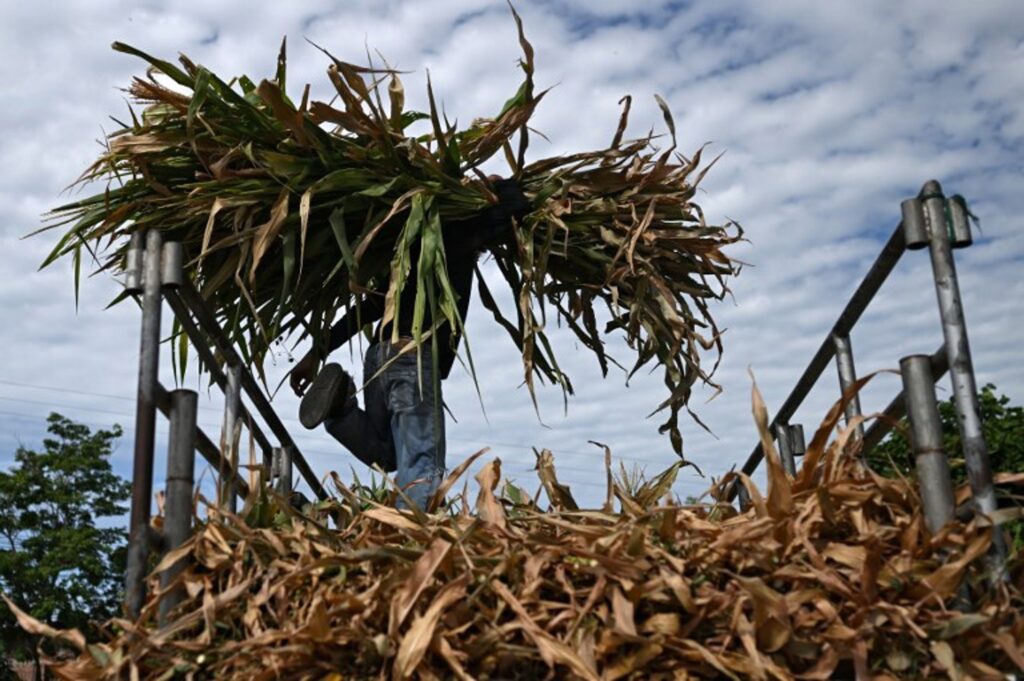 Extreme heat weather events expected to rise further through 2027 due to El Niño