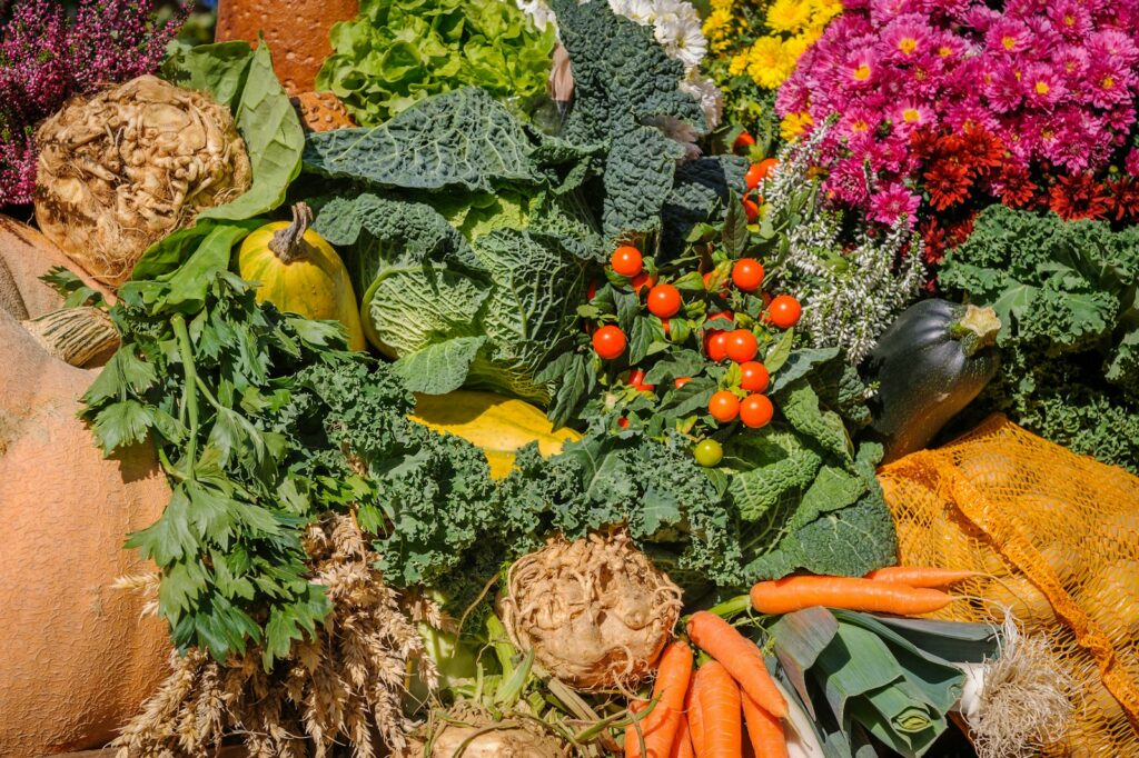 EU agri-food trade surplus swells to €30 billion as imports decline