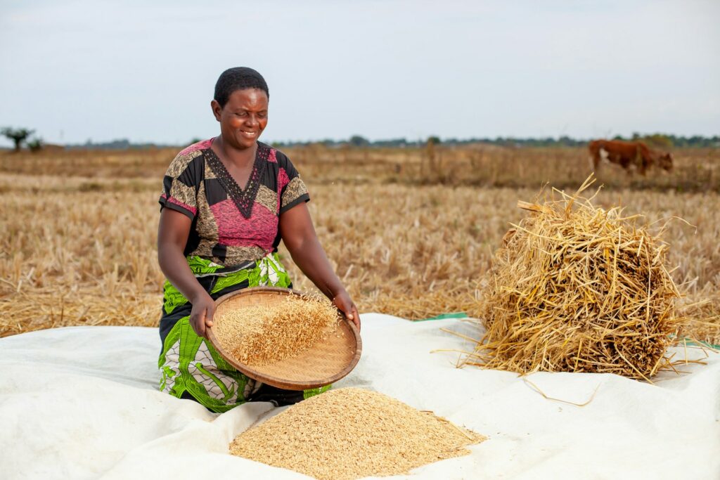 €7.5m EU loan targets Malawi’s smallest farms and women-led businesses