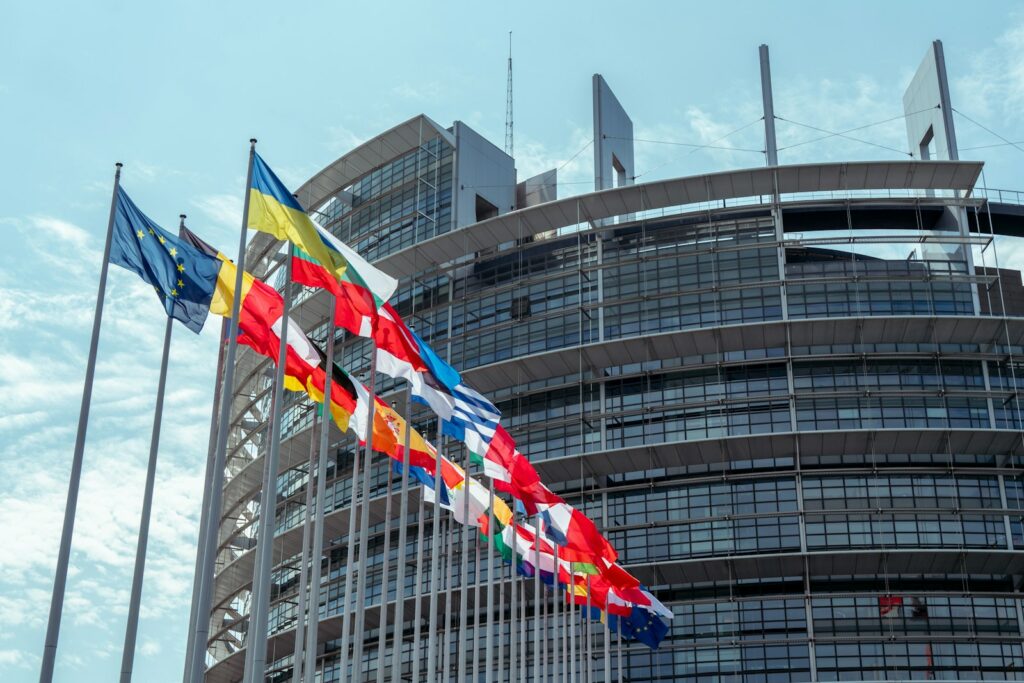 MEPs urge tougher stance as EU targets foreign election interference