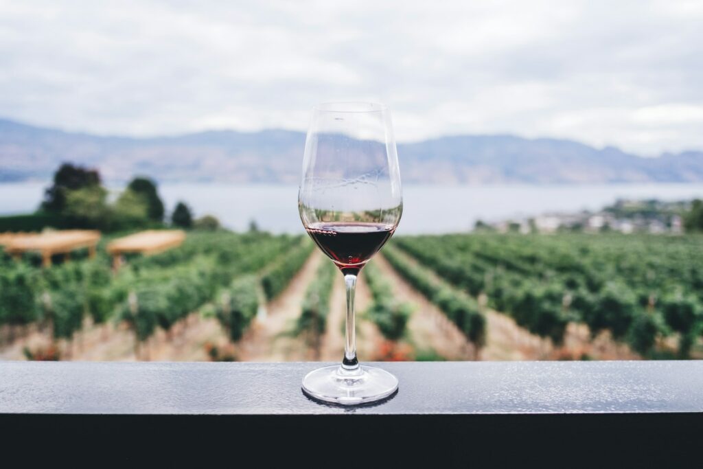Hungary’s Nivegy valley wines earn EU recognition for unique terroir and taste