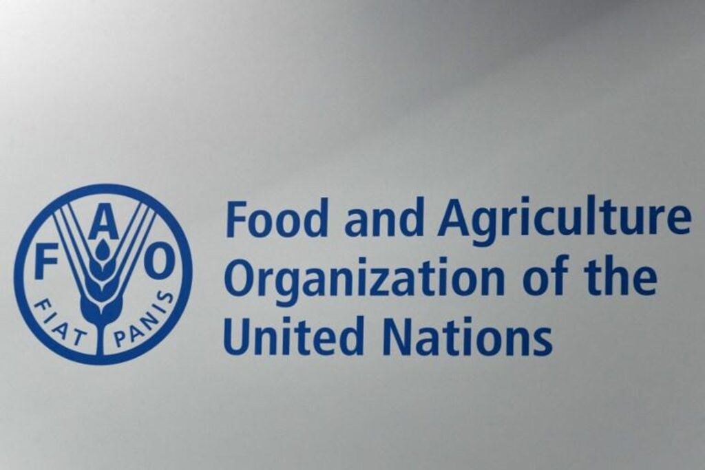 Global food prices reach their highest level since 2022
