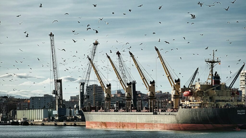 Food security fears mount as Black Sea trade grinds to a halt, EU warns at UN