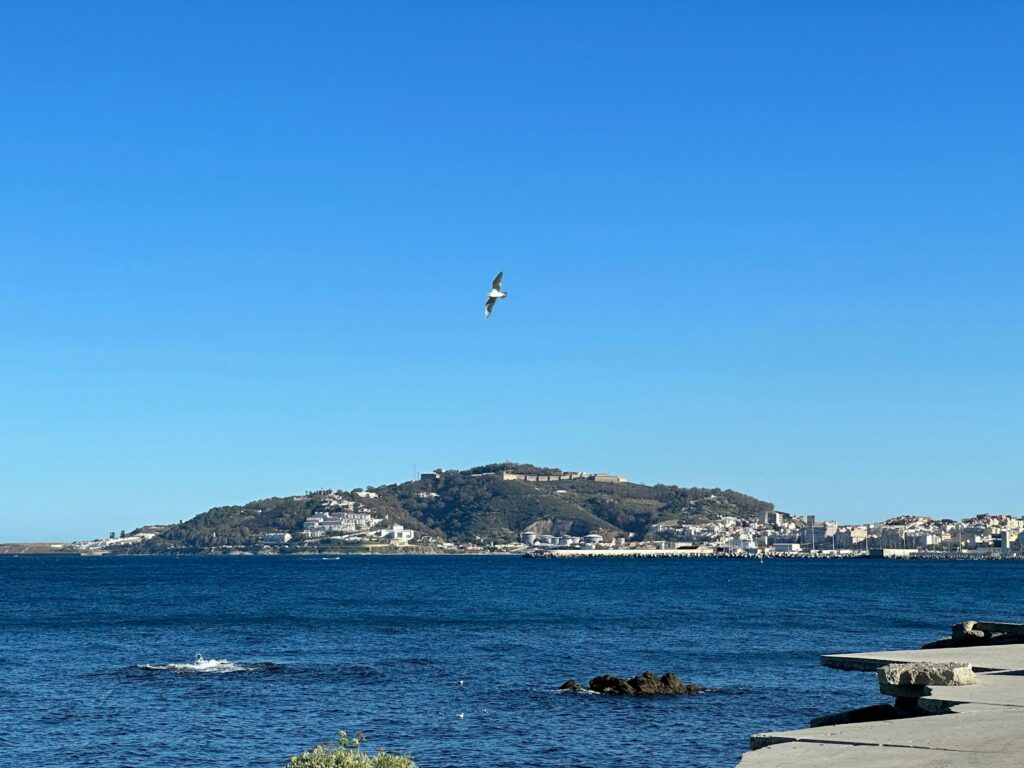 EU approves €114.7m for Spain’s border crisis response after Ceuta crossings