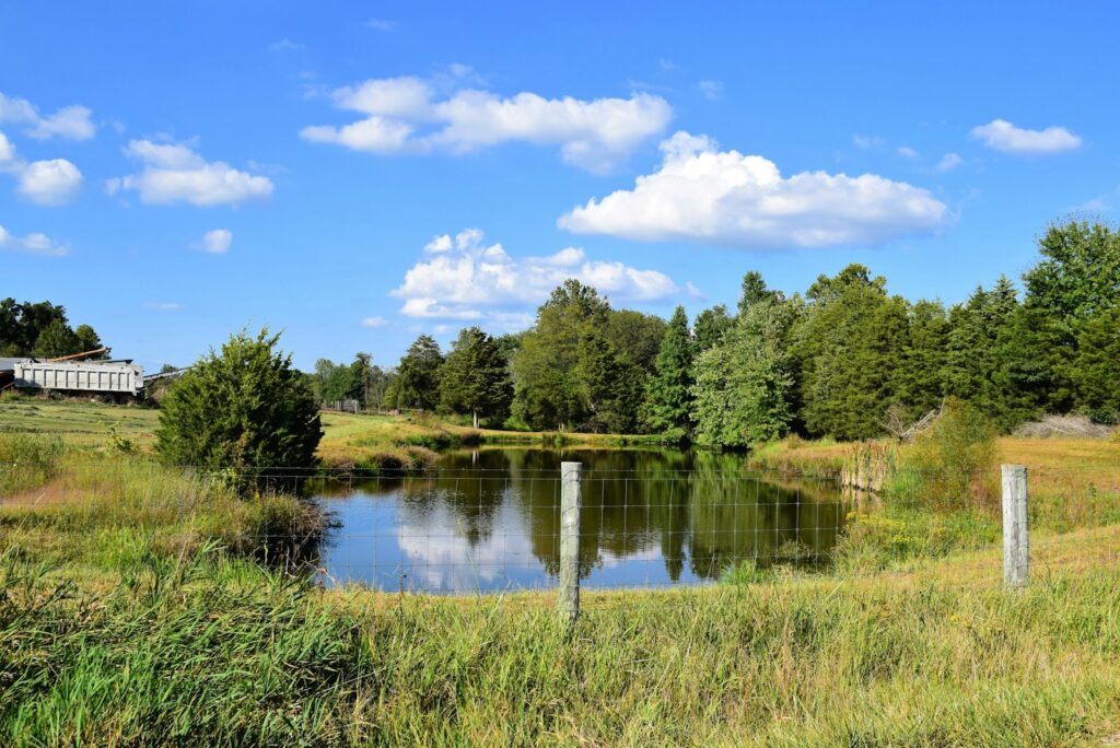 Middle Ages pond farming meets modern tourism in Bavaria's wetland revival