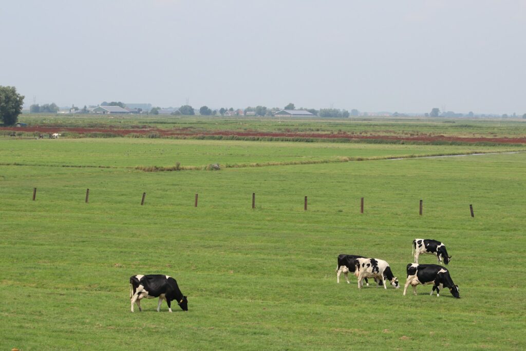 EU edges forward on agricultural reform as budget talks hold financial keys