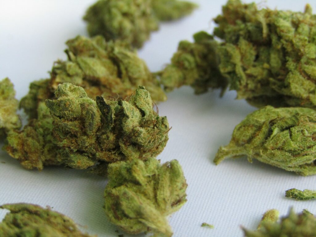 Surge in North America-to-Europe cannabis smuggling spurs Europol crackdown