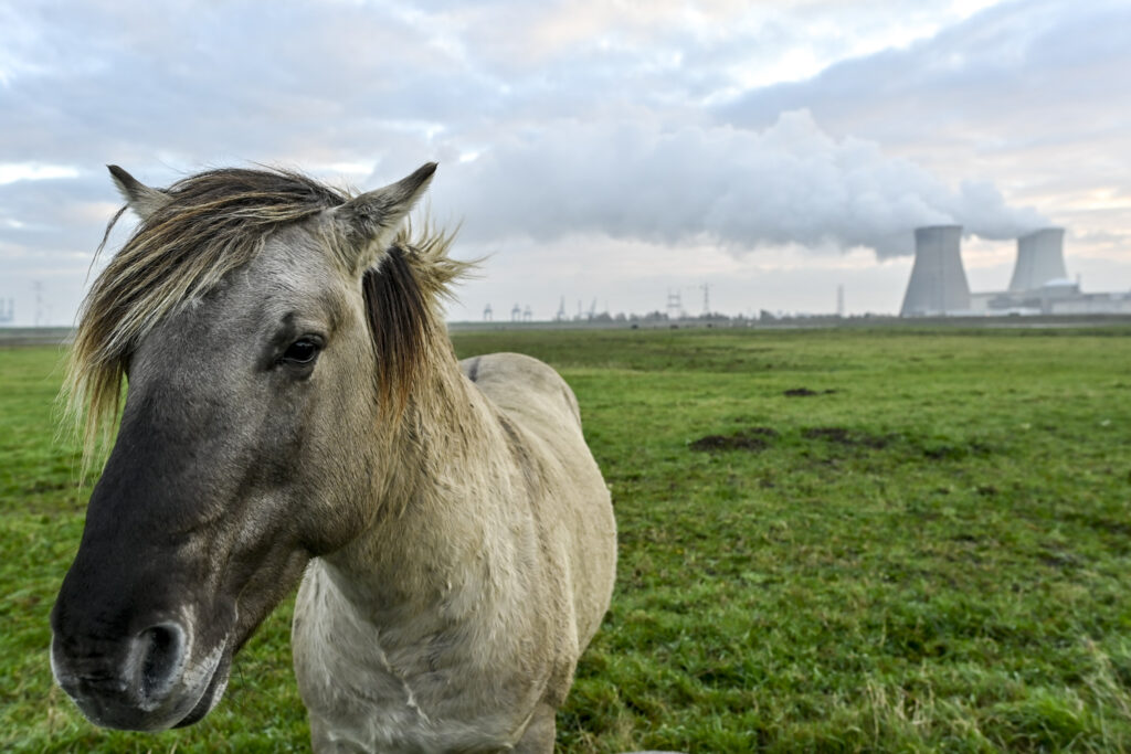 Electricity production in Belgium reaches 20-year low point