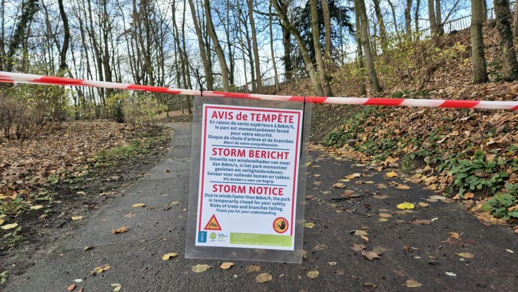 Brussels parks and Sonian Forest closed due to Storm Austen