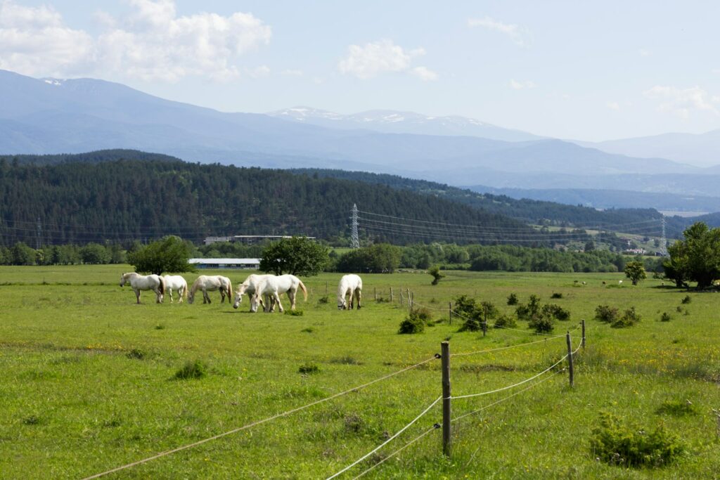 EU backs €170m aid for Bulgarian farmers amid surging fuel and fertiliser costs