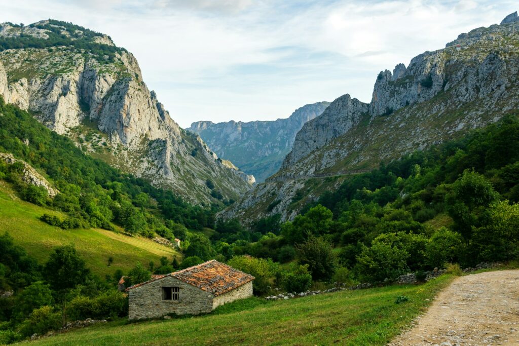 EU funds €390 million for 135 climate and nature projects
