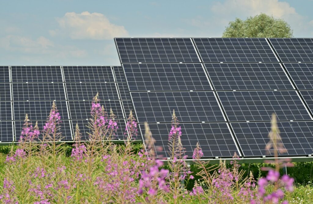 EU clears solar energy deal in Japan, citing negligible EEA impact
