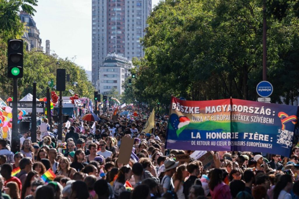 Tens of thousands attend politicised pride parade in Paris