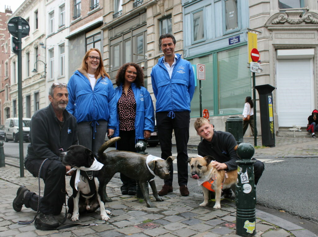 Shelter dogs take to the Brussels streets to raise awareness about animal abandonment