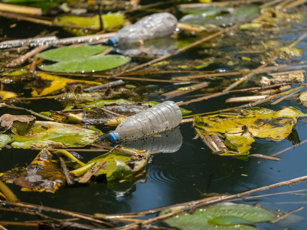 EU launches alliance to boost bio-based materials and cut fossil reliance